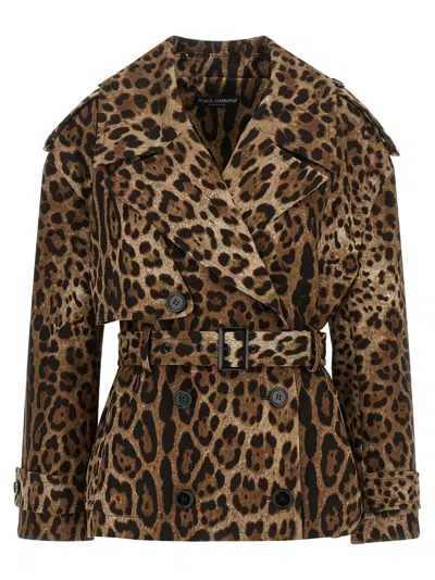Dolce & Gabbana Leopard-print Stretch Cotton Coat In Animal Print