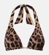 Dolce & Gabbana Leopard-print Triangle Bikini Top In Brown