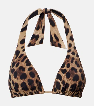 Dolce & Gabbana Leopard-print Triangle Bikini Top In Brown