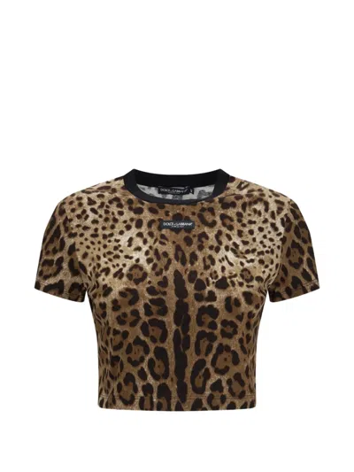 Dolce & Gabbana Leopard-print Cropped T-shirt In Animal Print