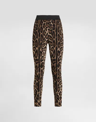 Dolce & Gabbana Leo-print Cady Leggings In Multi
