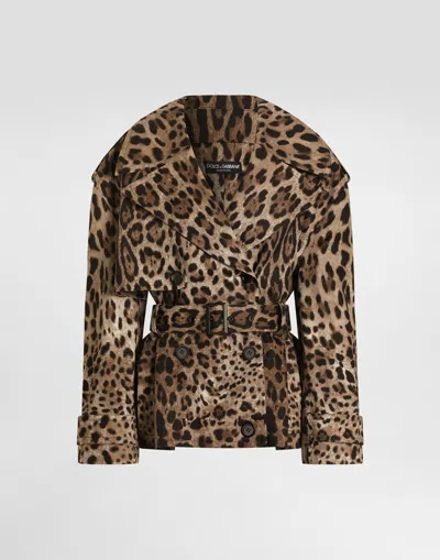 Dolce & Gabbana Leo-print Cotton Drill Jacket In Brown