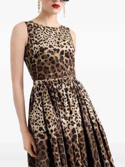 Dolce & Gabbana Leo-print Cotton Poplin Dress In Brown