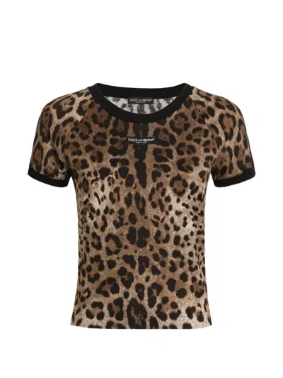 Dolce & Gabbana Leo-print Jersey T-shirt In Brown
