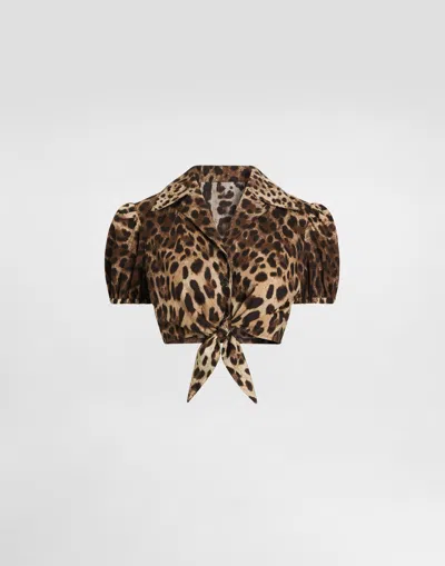 Dolce & Gabbana Leo-print Poplin Shirt In Animal Print