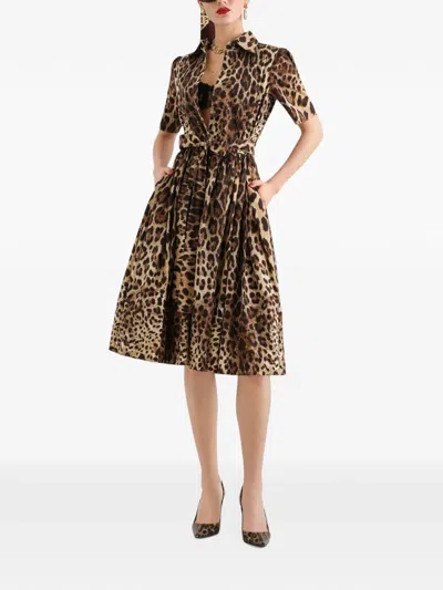 Dolce & Gabbana Short-sleeve Leopard Cotton Poplin Pleated Midi Shirtdress In Animal Print