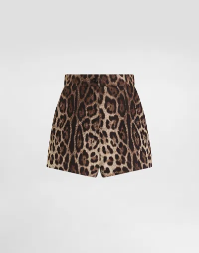 Dolce & Gabbana Leo-print Poplin Shorts In Animal Print