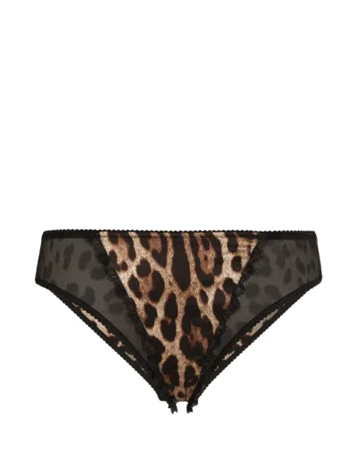 Dolce & Gabbana Leo-print Satin Briefs In Brown