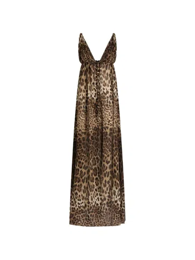 Dolce & Gabbana Leo-print Stretch Sheer Dress In Animal Print