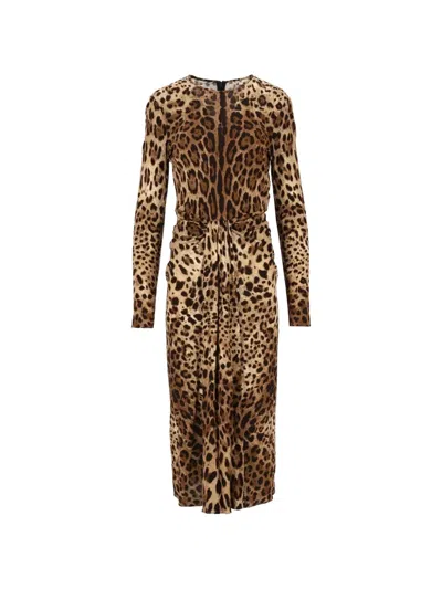 Dolce & Gabbana Leo-print Viscose Jersey Dress In Brown