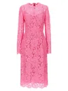 Dolce & Gabbana Light Pink Lace Sheath Dress In Light Pink
