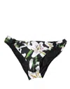 Dolce & Gabbana Lily-print Bikini Bottom In Multi