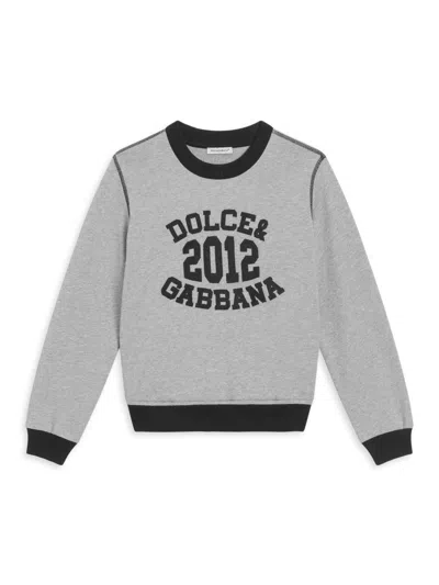Dolce & Gabbana Little Boy's & Boy's Logo Crewneck Sweatshirt In Gray