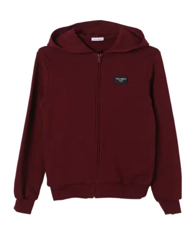 Dolce & Gabbana Logo-appliqué Zipped Hoodie In Red