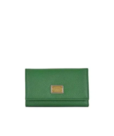 Dolce & Gabbana Logo Details Key Bag In Green