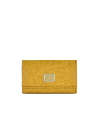 Dolce & Gabbana Logo Details Key Bag In Yellow
