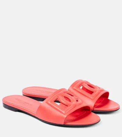 Dolce & Gabbana Logo Leather Slides In Orange