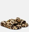 Dolce & Gabbana Logo Leopard-print Terrycloth Slides In Leo New