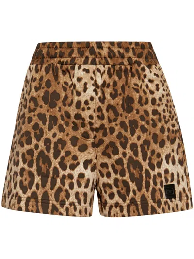Dolce & Gabbana Logo Patch Shorts Leopard Pattern Waistband In Brown