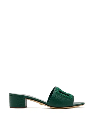 Dolce & Gabbana Logo-plaque Embellished Mules In Animal Print