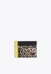 Dolce & Gabbana Logo Plaque Leopard Print Cardholder In Multi