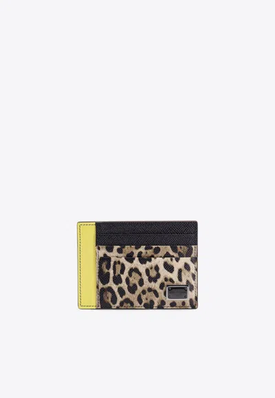 Dolce & Gabbana Logo Plaque Leopard Print Cardholder In Multi
