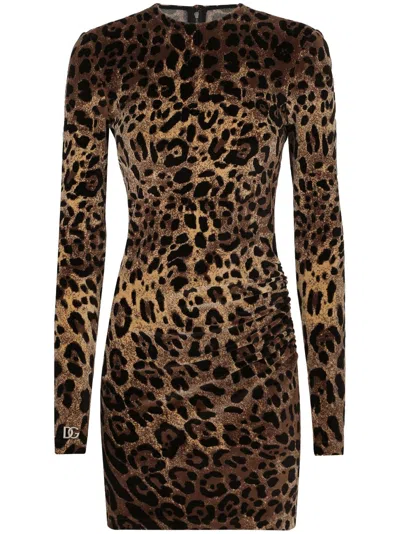 Dolce & Gabbana Logo-plaque Leopard-print Dress In Brown