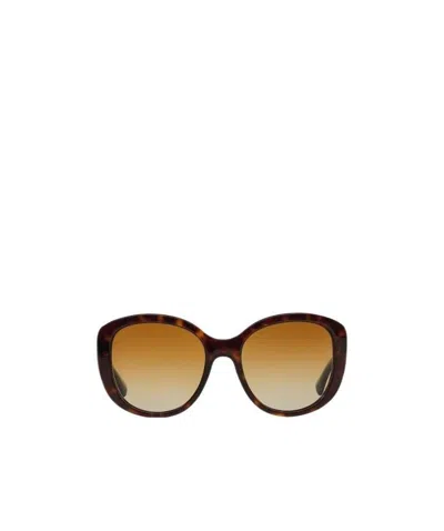 Dolce & Gabbana Logo Sunglasses In Brown