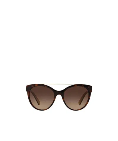 Dolce & Gabbana Logo Sunglasses In Brown