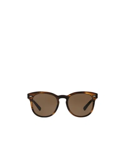 Dolce & Gabbana Logo Sunglasses In Brown