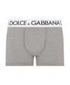 Dolce & Gabbana Logo-waistband Stretch Briefs In Gray