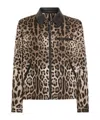 Dolce & Gabbana Leopard Print Jacket With Black Leather Collar In Black