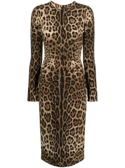 Dolce & Gabbana Long-sleeve Leopard-print Dress In Brown
