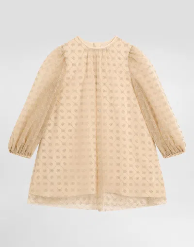 Dolce & Gabbana Long-sleeved Dress In Embroidered Tulle Dg In Neutral