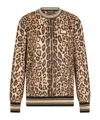 Dolce & Gabbana Leopard-print Jersey Sweatshirt In Brown
