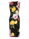Dolce & Gabbana Longuette Dress With Floral Print Dresses Multicolor