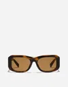 Dolce & Gabbana Tortoiseshell-effect Sunglasses In Striped Brown