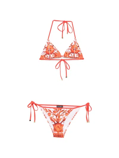 Dolce & Gabbana Maiolica-print Triangle Bikini Set In Multi