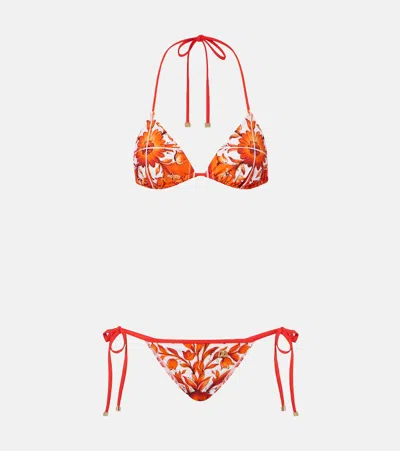 Dolce & Gabbana Majolica Bikini In Red
