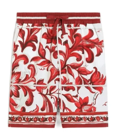 Dolce & Gabbana Majolica-print Poplin Bermuda Shorts In Brown