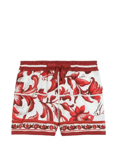Dolce & Gabbana Babies' Majolica-print Poplin Bermuda Shorts In White