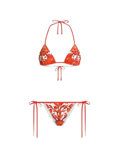 Dolce & Gabbana Majolica-print Triangle Bikini In Orange