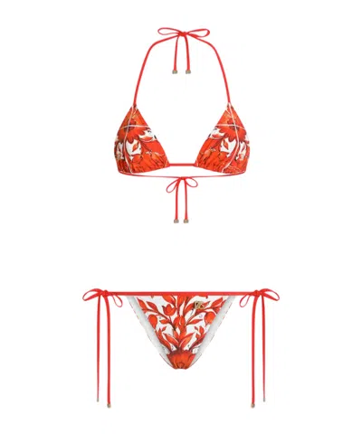 Dolce & Gabbana Maiolica Print Bikini Set In Multi