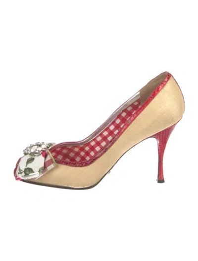 Pre-owned Dolce & Gabbana Mambo Rose Print Canvas Pumps