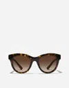 Dolce & Gabbana Marlene Sunglasses In Brown