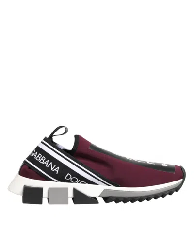 Dolce & Gabbana Maroon Slip On Sorrento Men Trainers Shoes In Purple