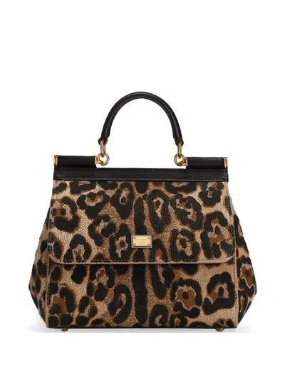 Dolce & Gabbana Medium Sicily Handbag In Braun