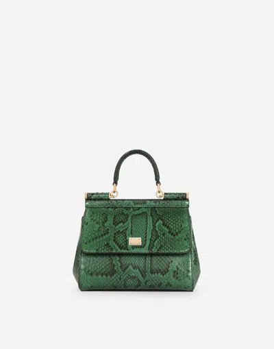 Dolce & Gabbana Medium Sicily Handbag In Green