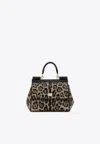 Dolce & Gabbana Medium Sicily Leopard Print Crossbody Bag In Brown