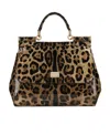 Dolce & Gabbana Medium Sicily Leopard-print Bag In Black